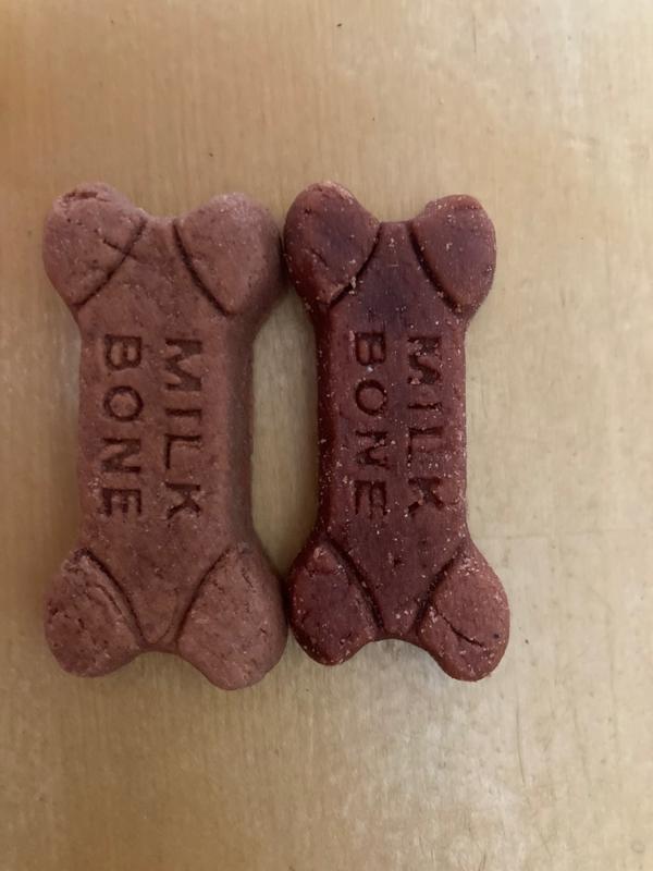 new vs old bone