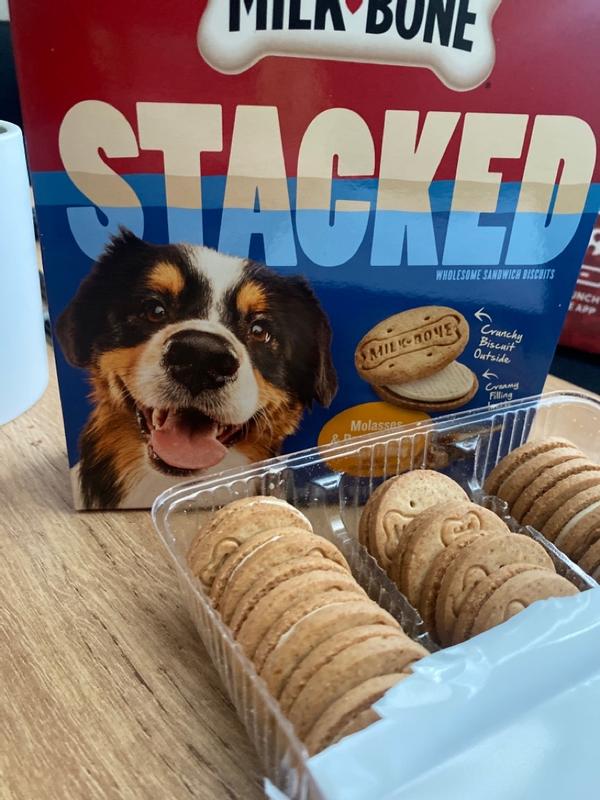 Dog Cookies That Look Like Oreos