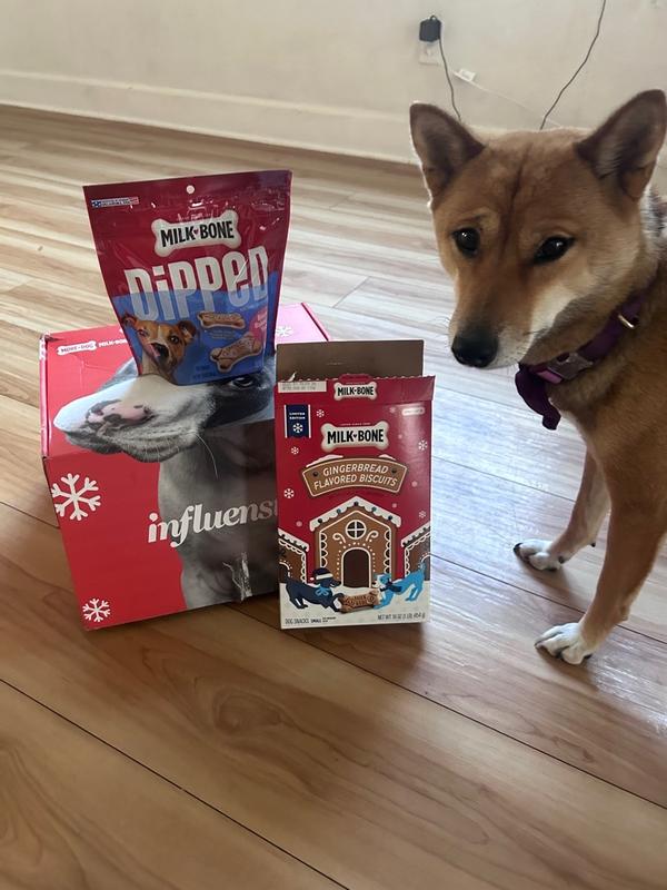 Gingerbread Artificially Flavored Dog Biscuits