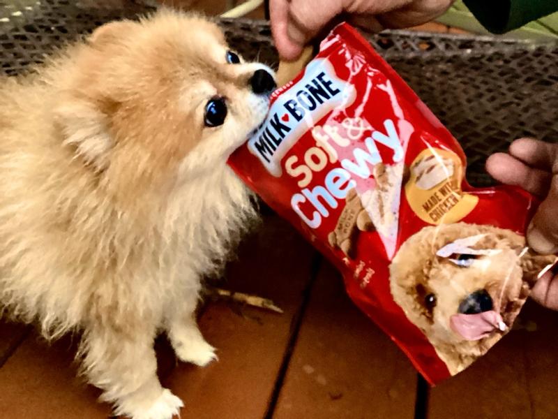 Milk-Bone Soft & Chewy Dog Snacks – Chicken Recipe, 37 Oz. Bucket, Fresh Until Jan 2026