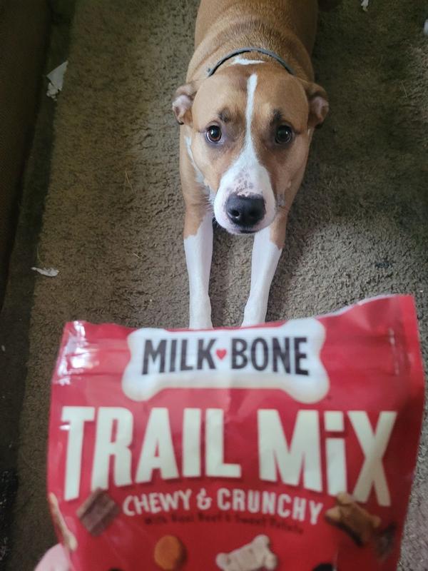 Trail Mix With Real Beef Sweet Potato Chewy and Crunchy Dog Treats