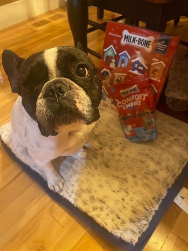 milk-bone-12-days-of-woofmas-advent-calendar-for-dogs-2-85-oz-box-at