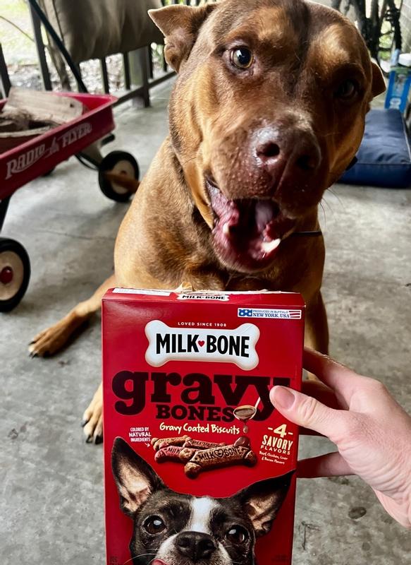 Milk bone gravy hot sale bones 7 lbs