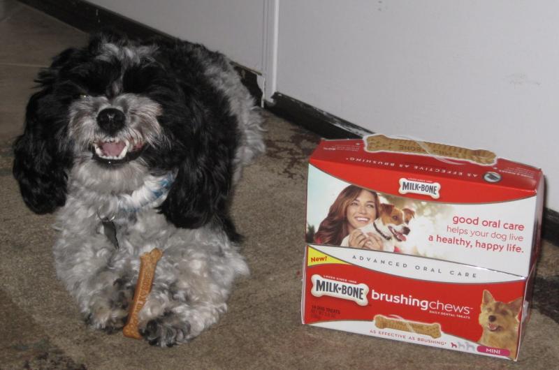 milk bone brushing chews nutrition facts