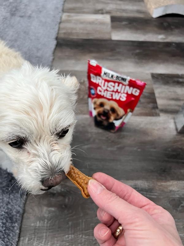 Milk bone brushing chews fresh breath sale