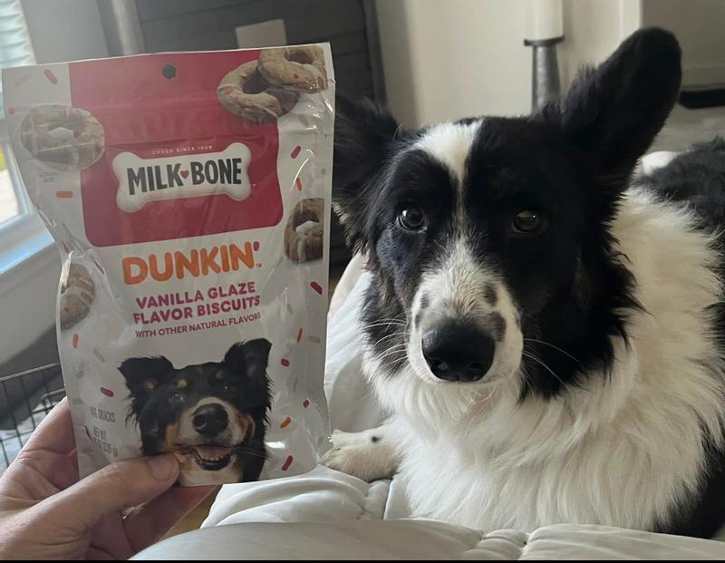 Francesca Flufferelli loves her Dunkin Donuts milk bones