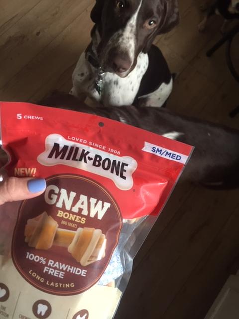 Are milk bone shop gnaw bones safe