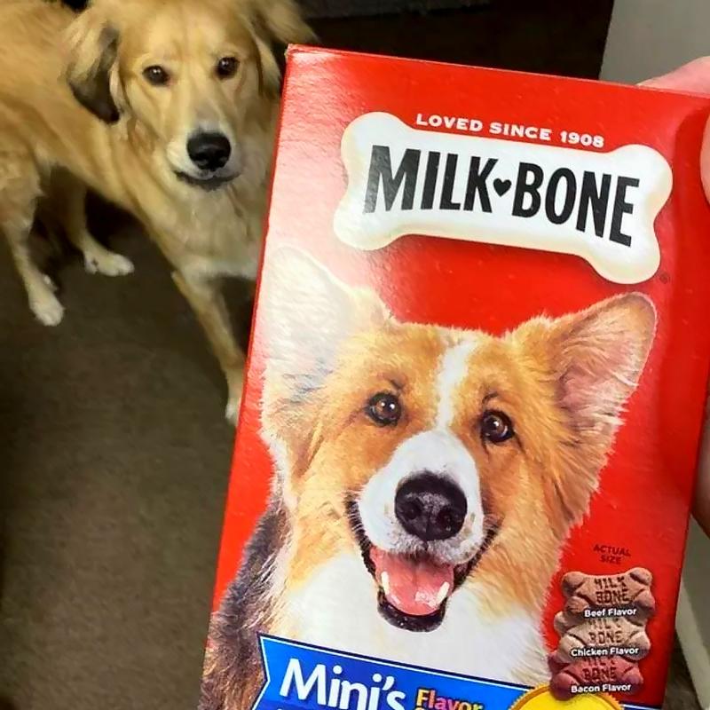 Milk-Bone Mini's Flavor Snacks Dog Treats - 36 oz canister