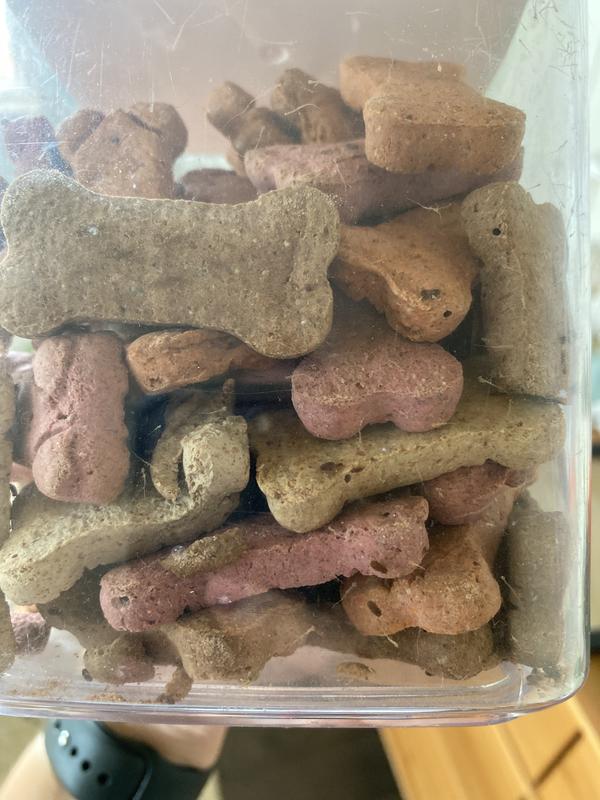 Bug infested milk bones best sale