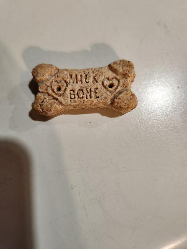 Dipped Gingerbread Artificially Flavored Dog Biscuits