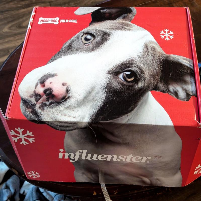 Daily Dental Treats - Large