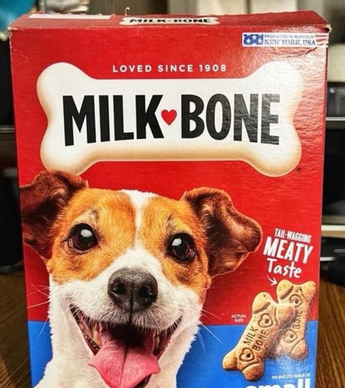 Milk bone mini biscuits best sale