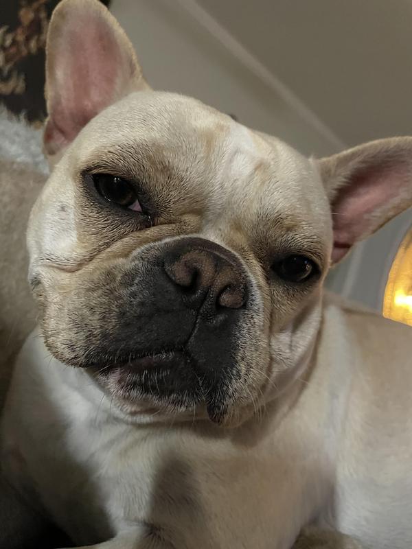 Where's my treat?