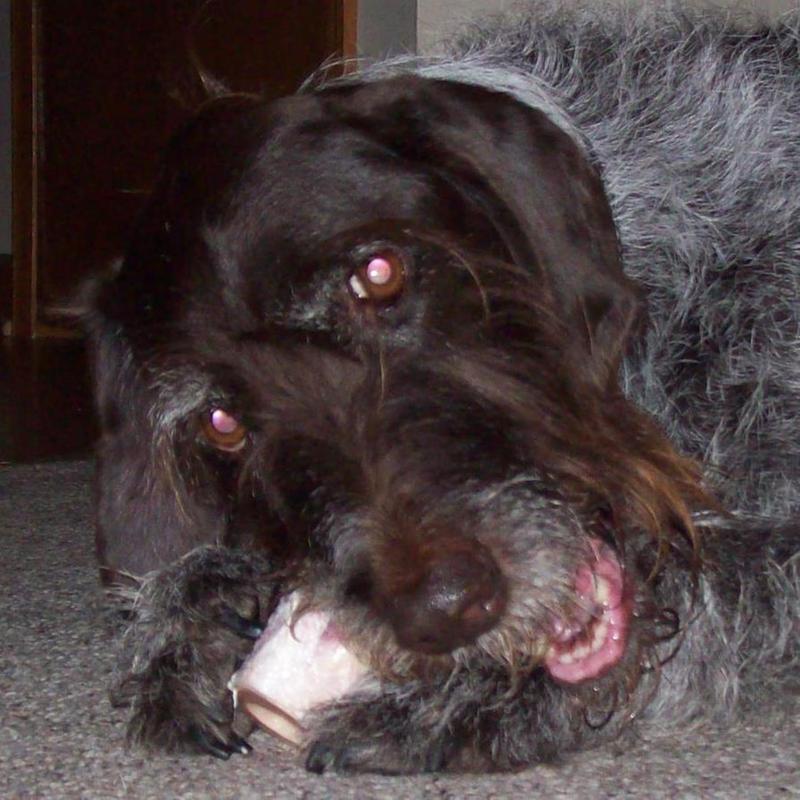 Meatball Marrow bone