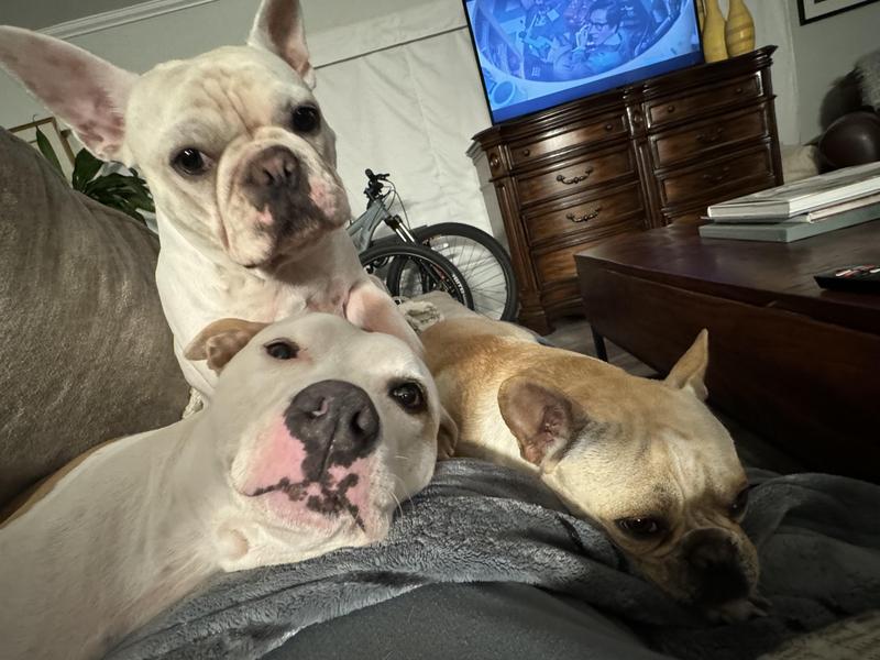 Lazy