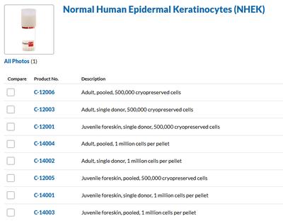 Human_Epidermal_Keratinocytes image