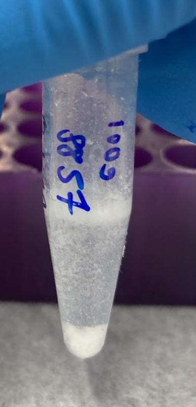 Observations of surface layer and particles during the dissolving process