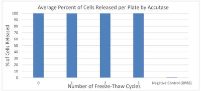 Accutase freeze thaw stability image