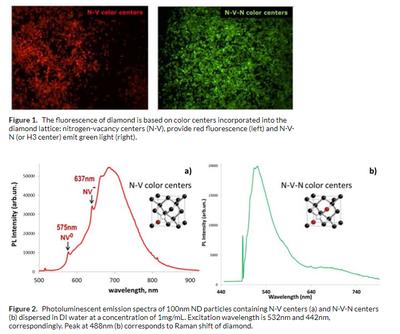 900171 Fluorescent Images & Graphics