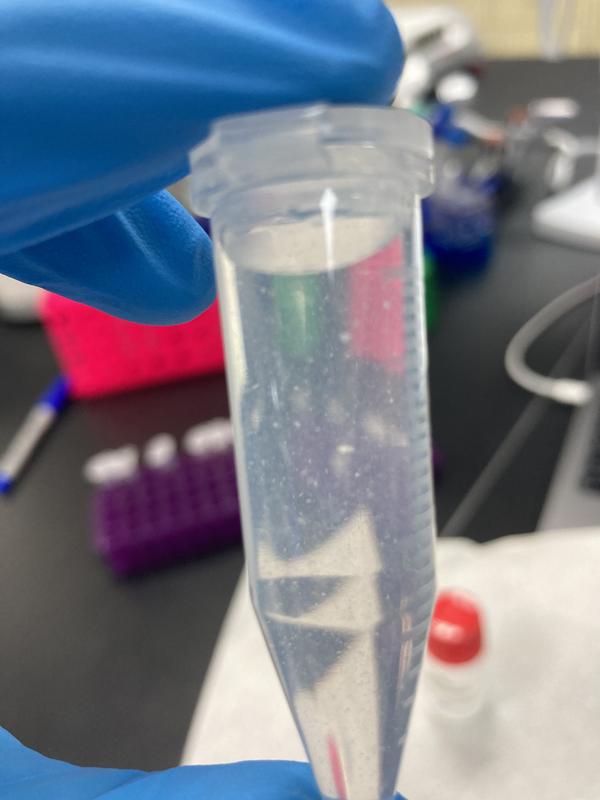 Visible insoluble particles in solution at 60 mg/mL in water.