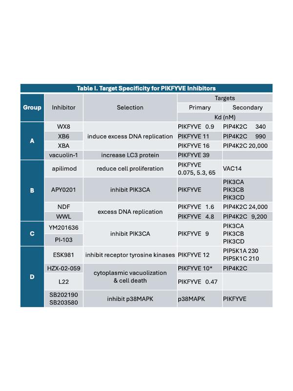 Table 1. Primary target is the one with the lowest Kd. Secondary targets are the ones with the next higher Kd. Dissociation constants (Kd) were determined in vitro. *1µM HZX 02 059 inhibited 8 kinases 99%: PIKFYVE, DDR2, KIT, EPHA8, DDR1, KI, LCK, RAF1. P