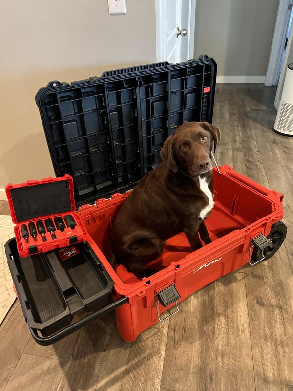 10PC) SHOCKWAVE Lineman's 2-in-1 12PT Socket Set | Milwaukee