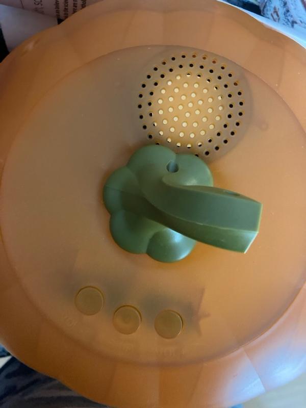 Photo - commentaire&nbsp;2.