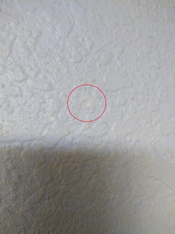 Nail hole gone (after use)