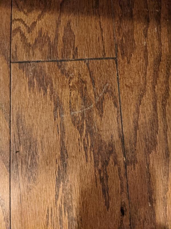 High Gloss Hardwood Floor Reviver, Hardwood Floor Reviver Minwax