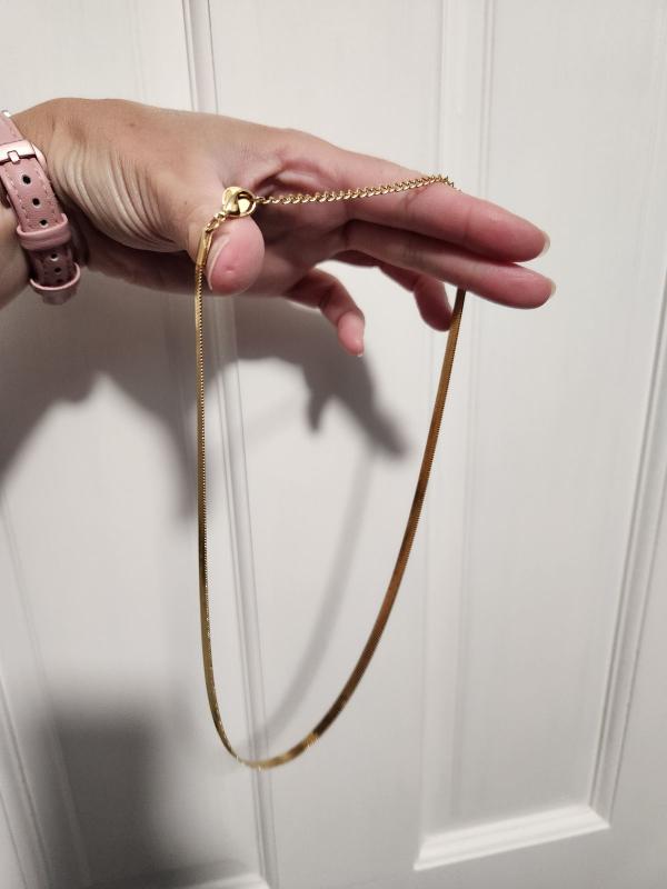 Customer photo for "Awesome Necklace"