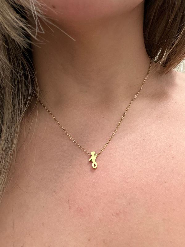 Customer photo for "Love it"