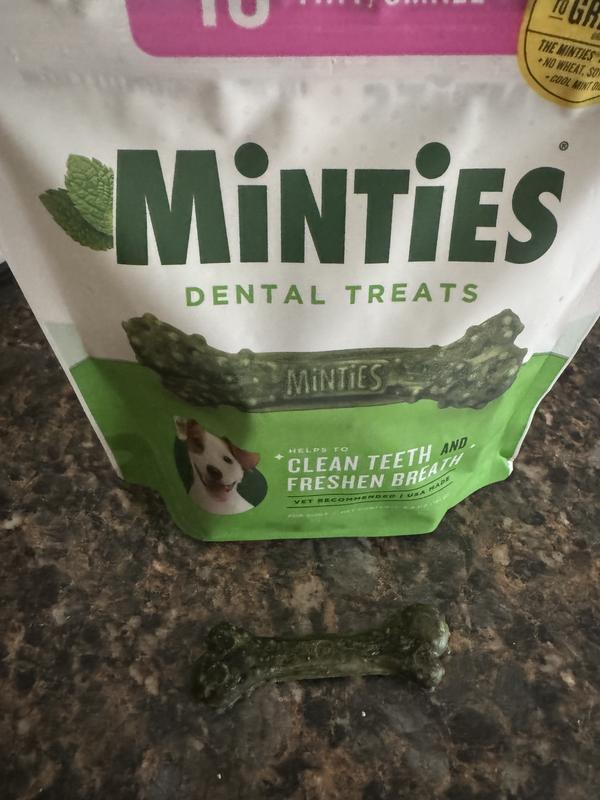 Minties Dental Treats for Dogs