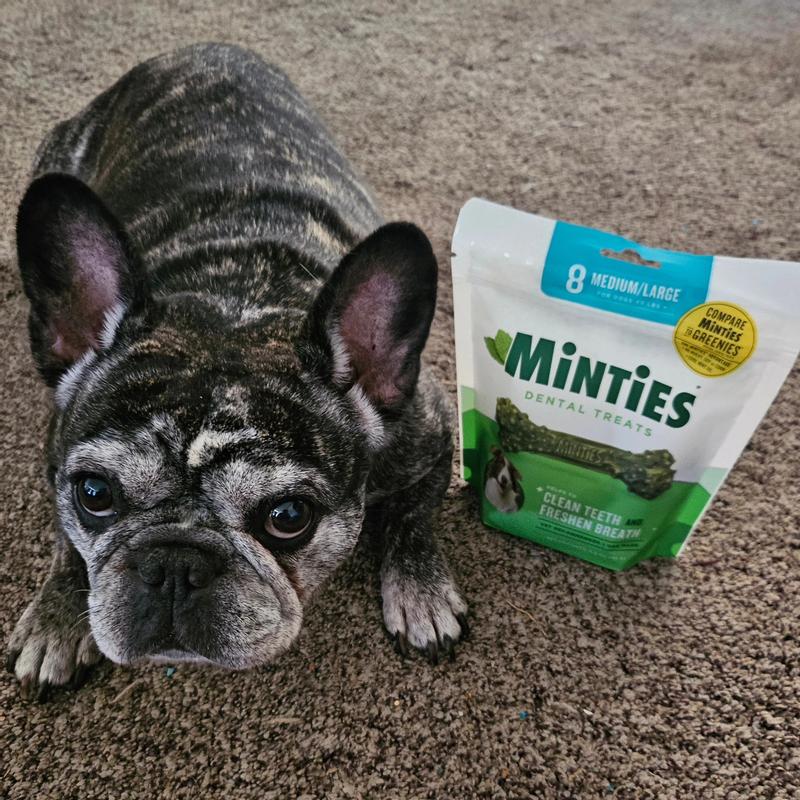 Minties for dogs best sale