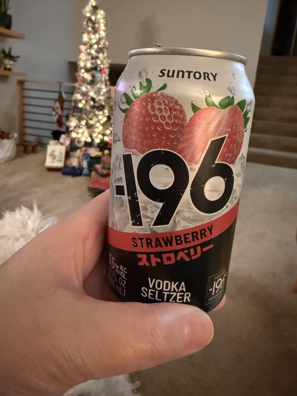 196 Vodka Seltzer Variety Pack | Minus196