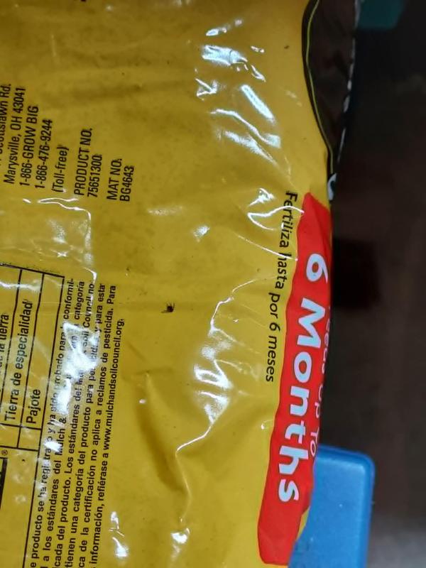 First picis of it's earliest stage like specks of pepper, Last picture is a bag, out in the garage never near the plants with a dead bug on it!