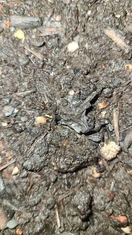 plastic bag and glass pieces