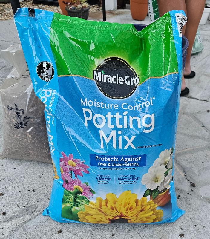 Miracle-Gro Moisture Control Potting Mix, Potting Soil for Container  Plants, Protects Against Over and Underwatering, 16 qt.