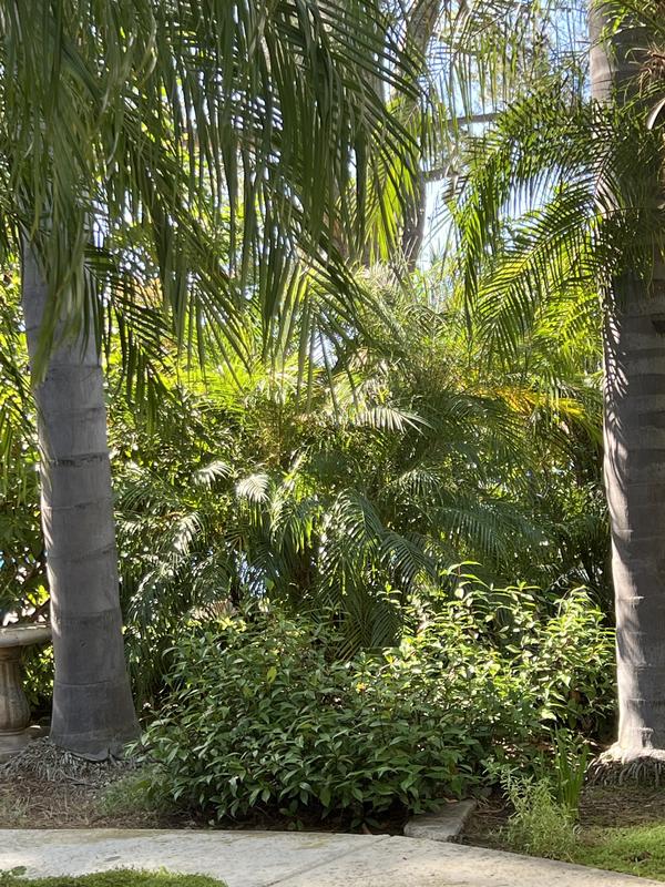 Photo from Bunnie’s Jungle