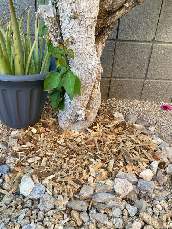 最終値下げ【新品・未使用】ch!iiibag Mulch Circle Bag 2点セット☆ch!iii☆Mulch Circle Bag☆キーチャーム