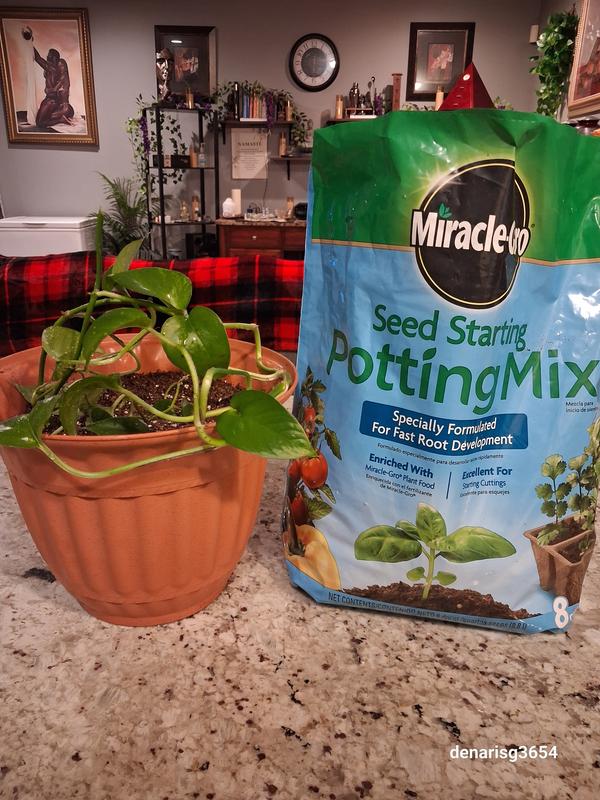 Can I Use Miracle Gro Garden Soil in Pots: Best Practices
