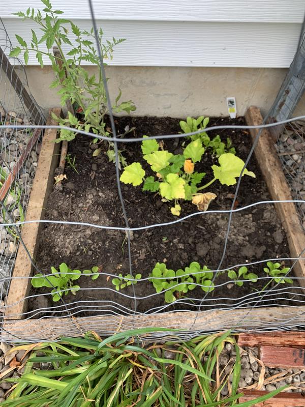 Miracle Gro All Purpose Garden Soil Pound Fry S Food Stores