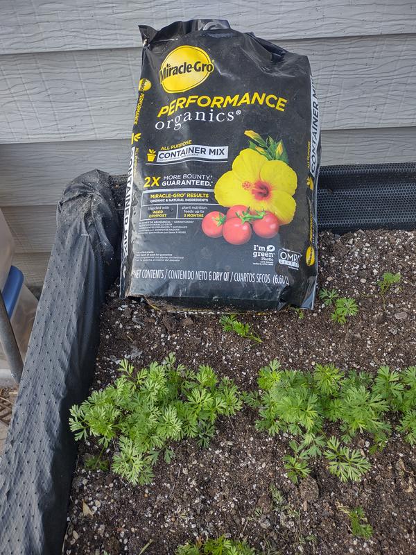 Can I Use Miracle-Gro Garden Soil In Pots