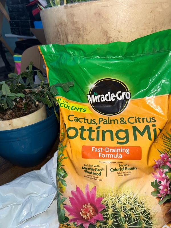 Miracle-Gro 8 qt. Cactus, Palm and Citrus Potting Soil Mix at Tractor ...