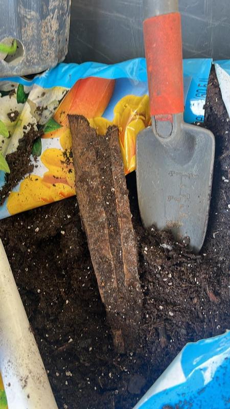 Miracle-grow moisture control piece of wood