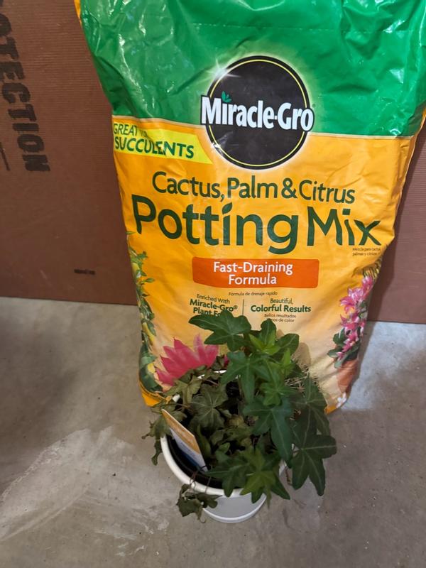 Miracle-Gro 8 qt. Cactus, Palm and Citrus Potting Soil Mix at Tractor ...