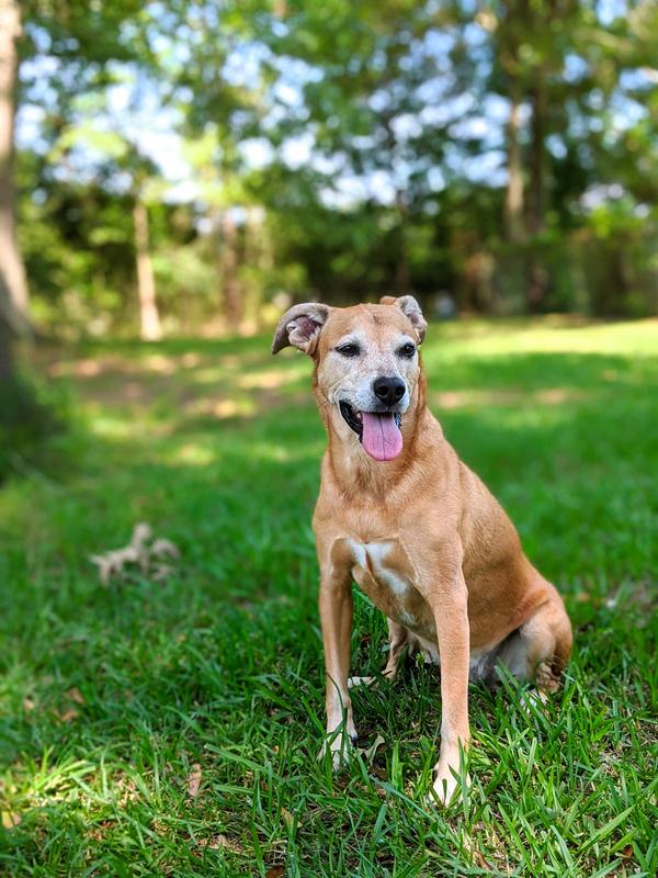 Healthy, happy, smart mouth