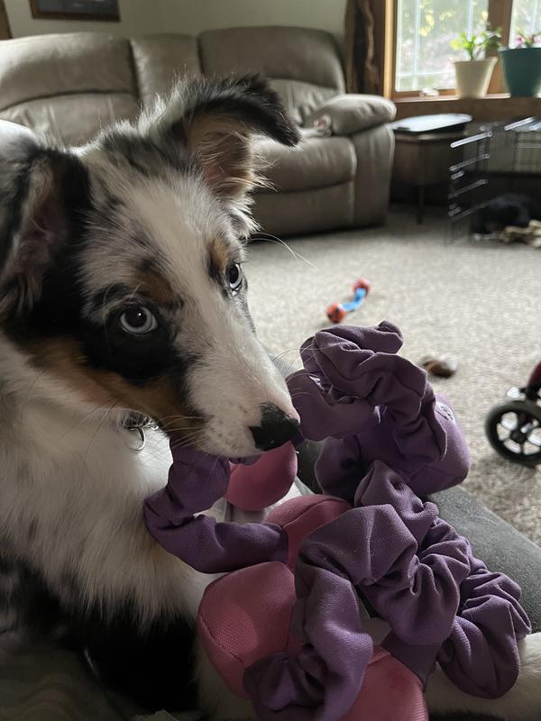 It’s her favorite toy!!