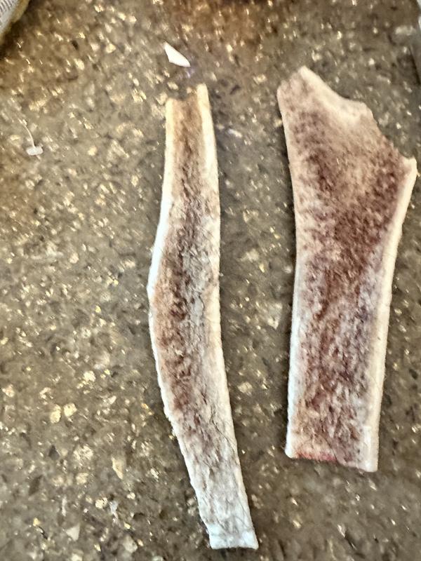 Unfortunately I immediately threw the shards away before I could photograph them. Any uneven edges broke off into long and short thin skewer-like shards.