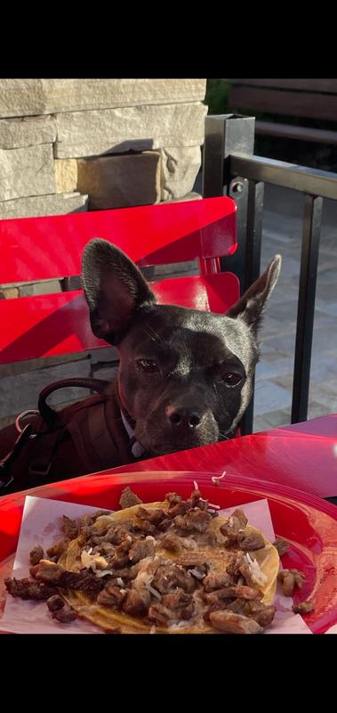 Enjoying yum yum's😋😋😋