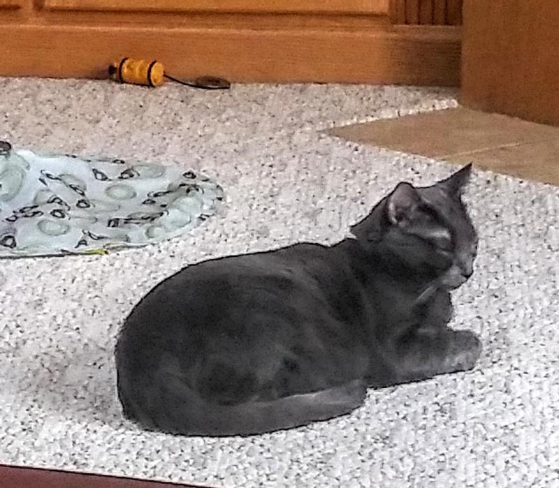 Stormie Just Chilling